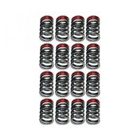 Valve Springs (4G63)