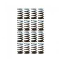 High Performance Valve Spring Set (EVO X)