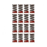 High Performance Valve Spring Set (Nissan SR20DE/DET)