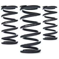 AST Linear Race Springs - 140mm Length x 100 N/mm Rate x 61mm ID - Set of 2