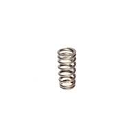 COMP Cams Valve Spring Ford 4.6L 2 Valve