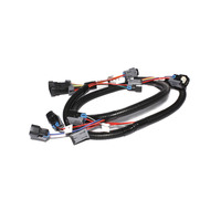 FAST Injector Harness LS2-18726543