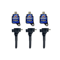 Granatelli 17-18 Ford EcoBoost 3.5TT Hi-Perf Coil-On-Plug Wire Conn Kit w/Coil Packs (65K Volts)