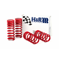 H&R 94-95 Ford Mustang/Mustang Cobra V8 Race Spring