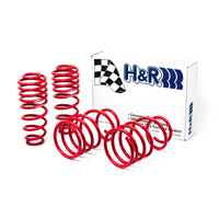 H&R 05-09 Ford Mustang/Convertible/GT/Shelby GT/Shelby GT-H V6/V8 Race Spring