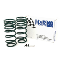 H&R 90-95 Toyota 4 Runner (2WD/4WD) Adventure Raising Spring (Adjustable)