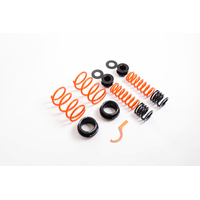 MSS 12-22 Volkswagen Golf MK7 & MK8 GTI / GTD / TDi / R Track Fully Adjustable Kit