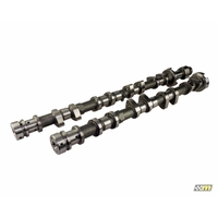 mountune Ford 2.0L EcoBoost Camshaft Set - V1