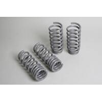 Progress Tech 04-10 Dodge Chrysler 300C/2009+ Dodge Challenger V8 Sport Springs