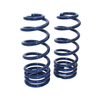 Ridetech 58-64 B-Body StreetGRIP Lowering Coil Springs Rear Dual Rate Pair