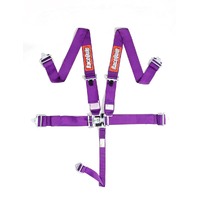 RaceQuip Purple L & L 5pt Seat Belt