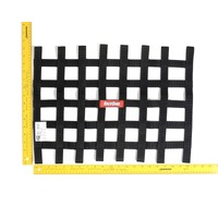 RaceQuip Black 15 X 21 SFI Ribbon Net