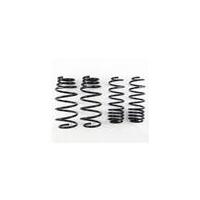 RS-R 09-13 Honda Fit (GE8) Super Down Springs