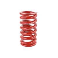 Skunk2 Universal Race Spring (Straight) - 7 in.L - 2.5 in.ID - 16kg/mm (0700.250.016S)