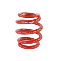 Skunk2 Universal Race Spring (Elliptical) - 6 in.L - 2.5 in.ID - 14kg/mm (0600.250.014E)